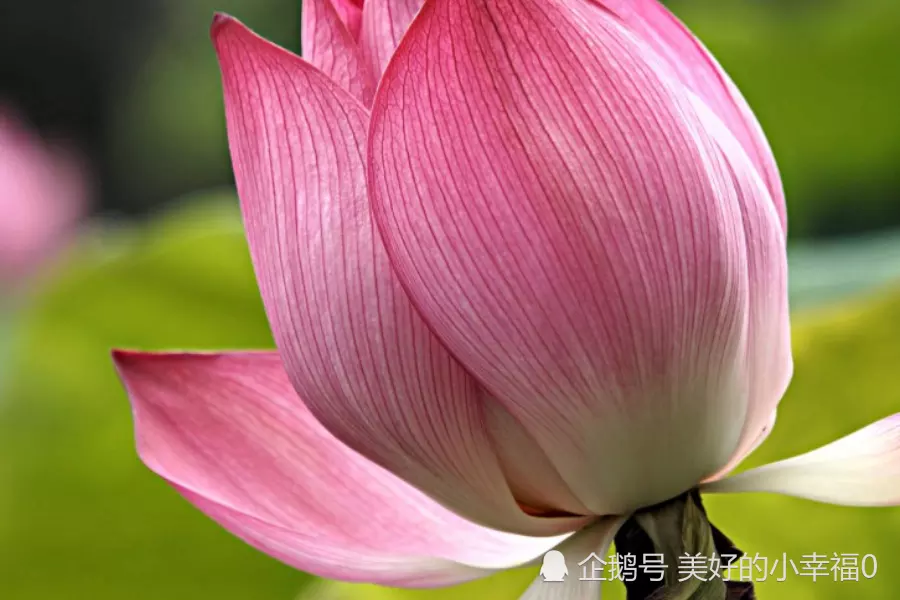 選樓層屬相准照樣納音五行准：購房看風水以正五行為準照樣以納音五行為準呀？