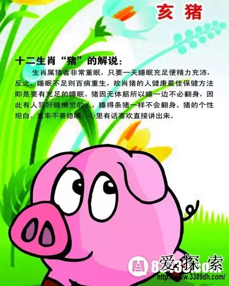 十二屬相的來源是什麼：鼠的歷史由來