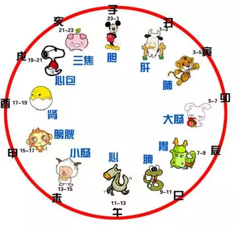 五更天出門是什麼屬相：每日五更整時起(這句話形容哪個生肖)