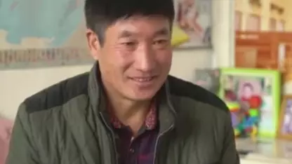 屬狗的堅強後盾是哪個屬相：搜狗里有哪些屬相屬狗的屬相有哪些成語
