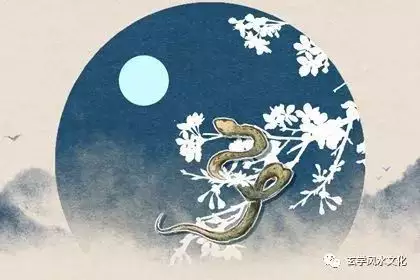 2、年的屬蛇人什麼命:年屬蛇的人壽命多大