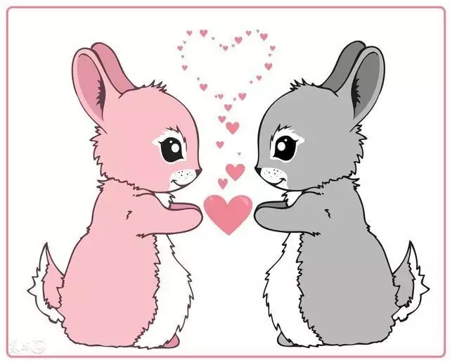 3、屬兔的幾點出生命男孩子:屬兔的生肖什麼時候出生？