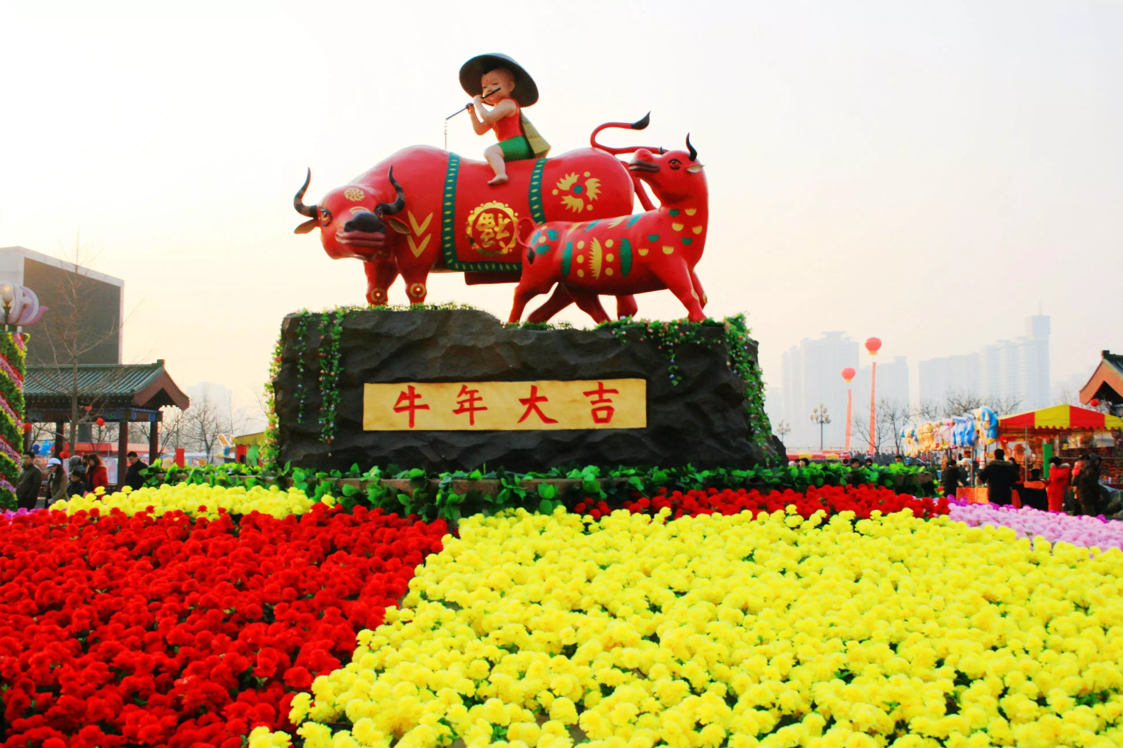 陰曆年11月25日出生的屬相是什麼，五行怎麼看？
