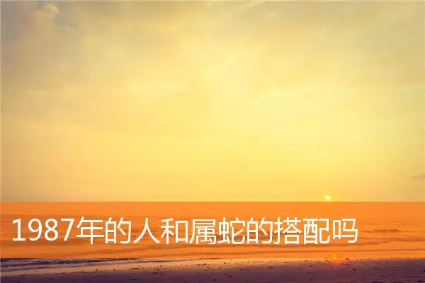 3、屬蛇和屬兔相衝嗎:屬蛇和屬兔的合不合