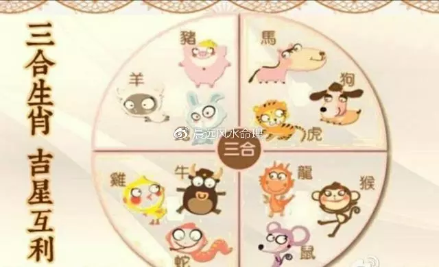 4、屬兔的和屬牛的婚姻怎麼樣,配嗎?:屬兔和屬牛的相配嗎
