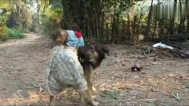 1、猴男配狗女婚配好不好:男猴女狗相配嗎？有什麼禁忌的