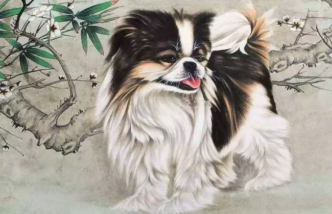 我屬狗 妻子屬豬 定於今年娶親 叨教伴郎伴娘隱諱什麼屬相的