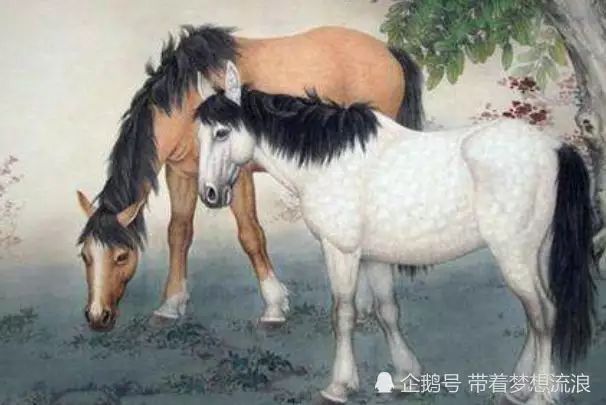 和年的人婚配：年與年婚姻如何