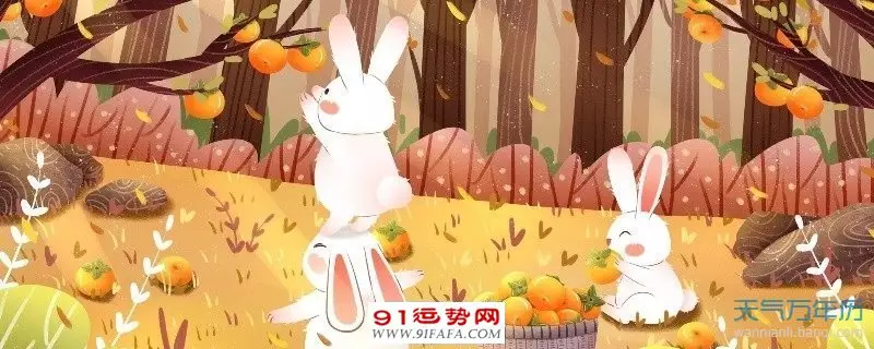 2、屬兔多少歲了今年:今年屬兔幾歲
