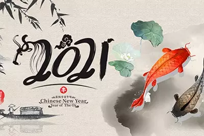 今年都是什麼屬相是本命年：年是什麼屬相的本命年
