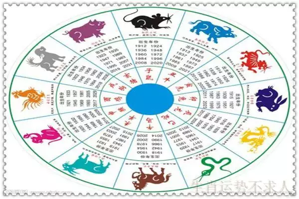 4、88龍82狗婚配是相害:男屬龍88年的和女屬狗82年的女人