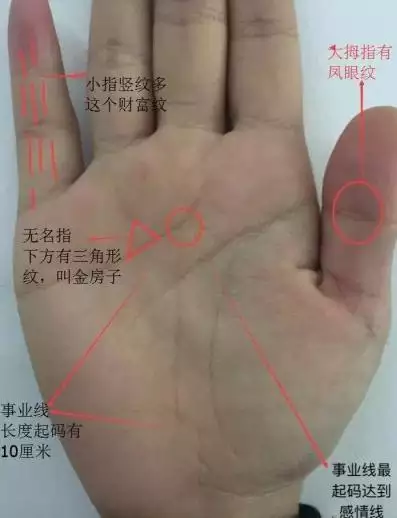 5、婚姻線圖解女士:婚姻線圖解