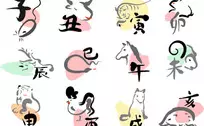 十二生肖屬相語文總分：十二生肖共幾門有哪些数字