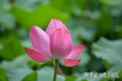 2、珍惜相遇珍惜緣分的句子:感恩遇見,珍惜緣分,優美的句子