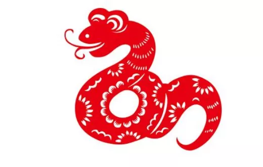 馬蛇的和什麼屬相最配：屬馬的和什麼屬相最配