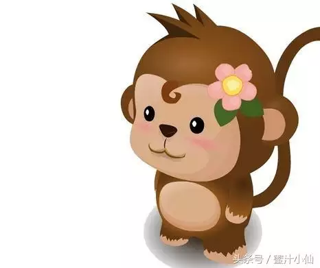 1、婚配屬鼠的和屬猴的好嗎:屬猴和屬鼠的人娶親怎麼樣