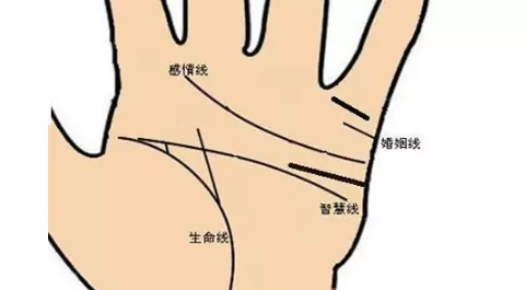3、婚姻線圖解大全:手相感情線大全圖解，手紋愛情線怎麼看