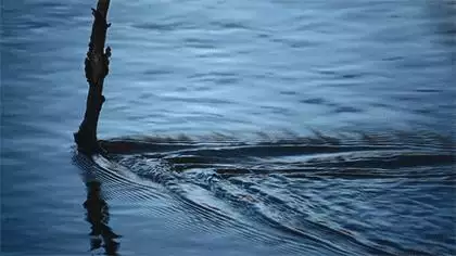 82年大海水命，歷3月初九，午時生人，命運如何？注意什麼？適合做什麼工作？謝謝！求指點！