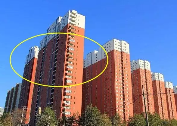 年屬狗的住東戶還是西戶：年屬狗住東戶還是西戶