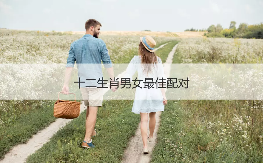 2、龍的配對屬相婚配表:屬龍和什麼屬相相配