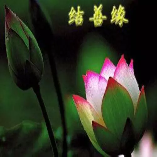 1、查緣分:查看緣分