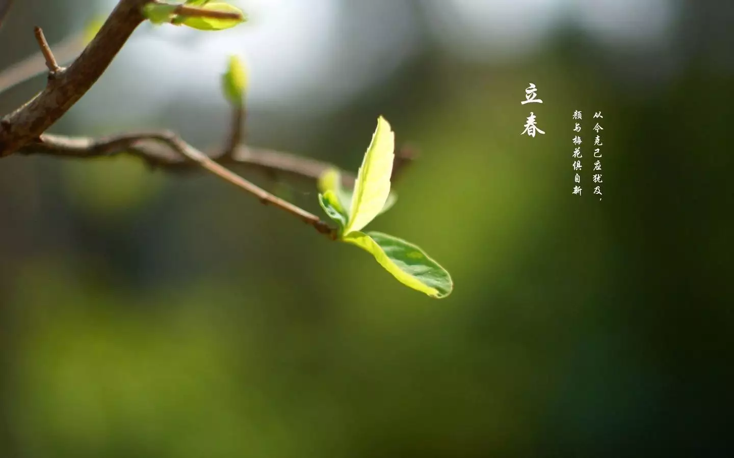 你真的知道你的屬相嗎：你們相信生肖配對嗎，可信嗎？准嗎？