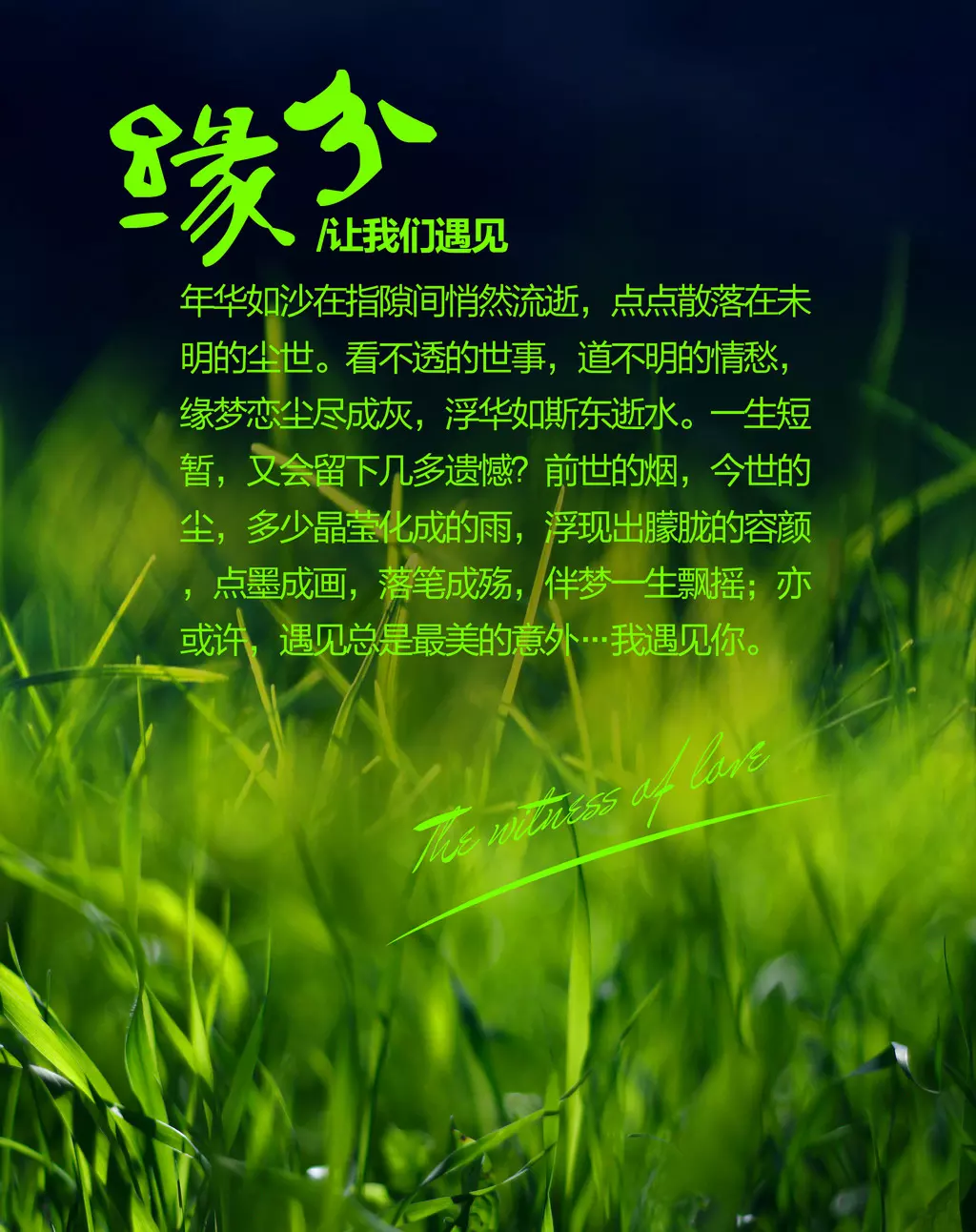6、查緣分:如何測試緣分