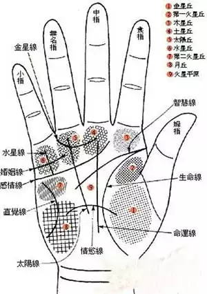 看手相測有多少個兒女：手相能看出人多少歲生孩子嗎？