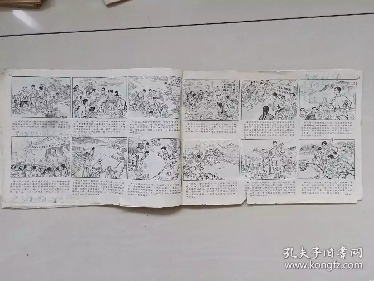 陰曆年屬相是什麼命：年屬豬是什麼命年出生人的運氣