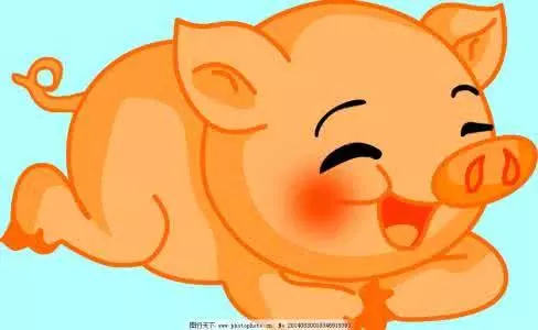 2、屬豬的今年多大了周歲:屬豬的今年多大?