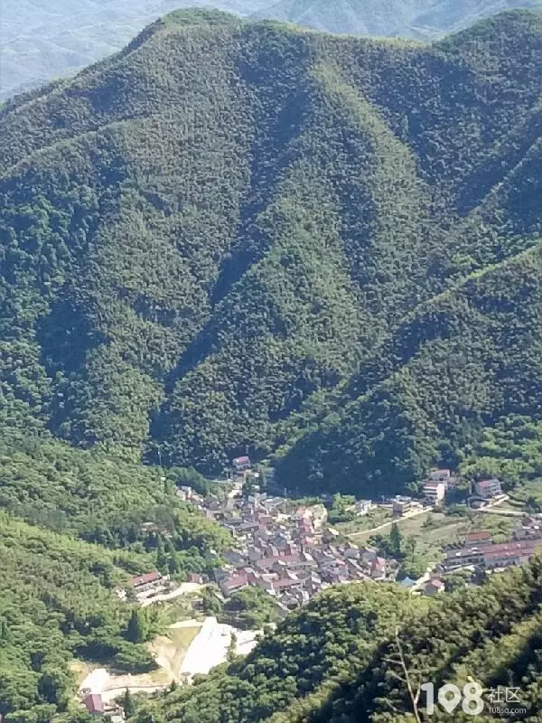千山萬水總是情打一屬相
