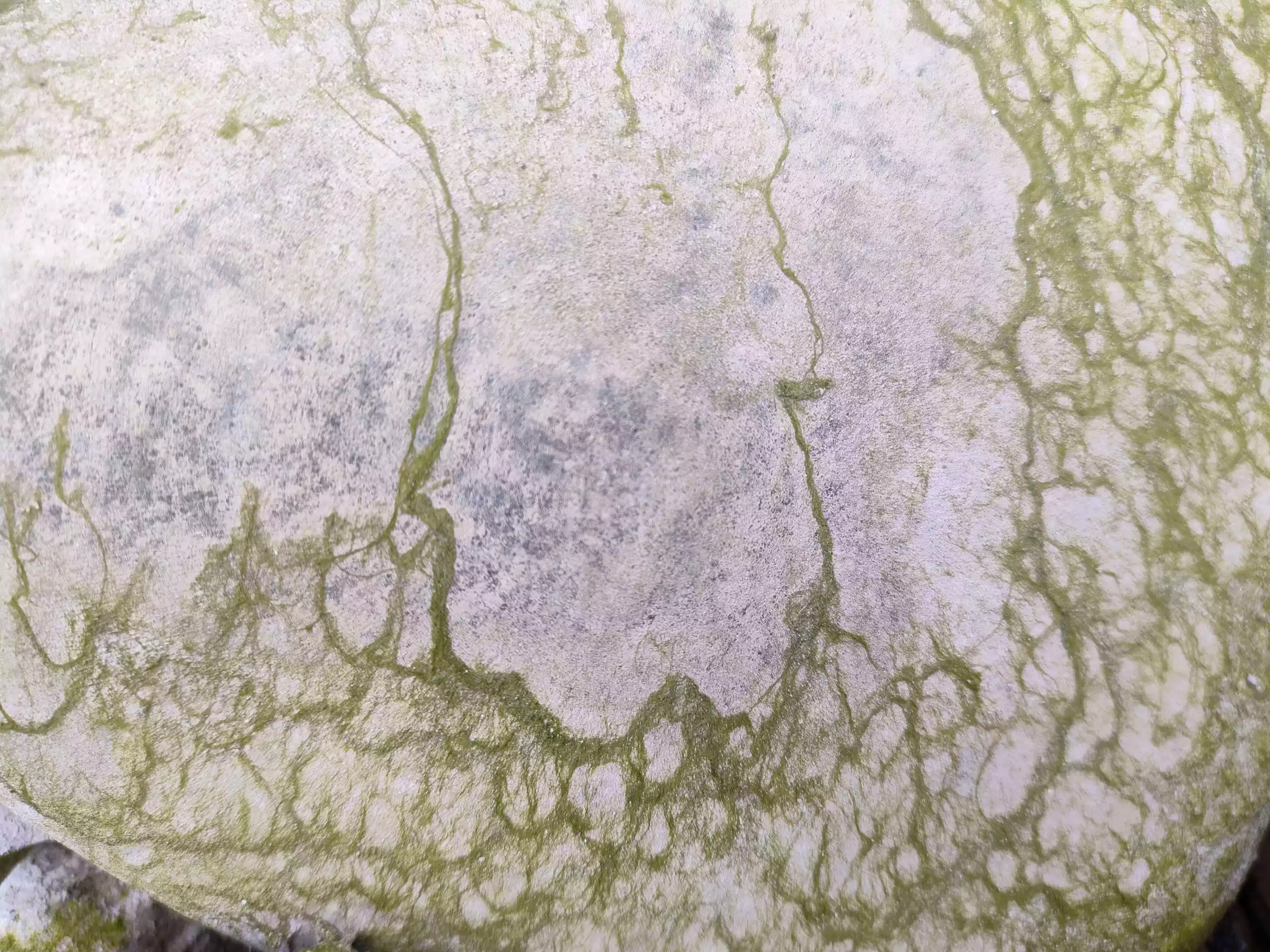 年臘月25是什麼屬相：年臘月25屬羊陽曆是若干號