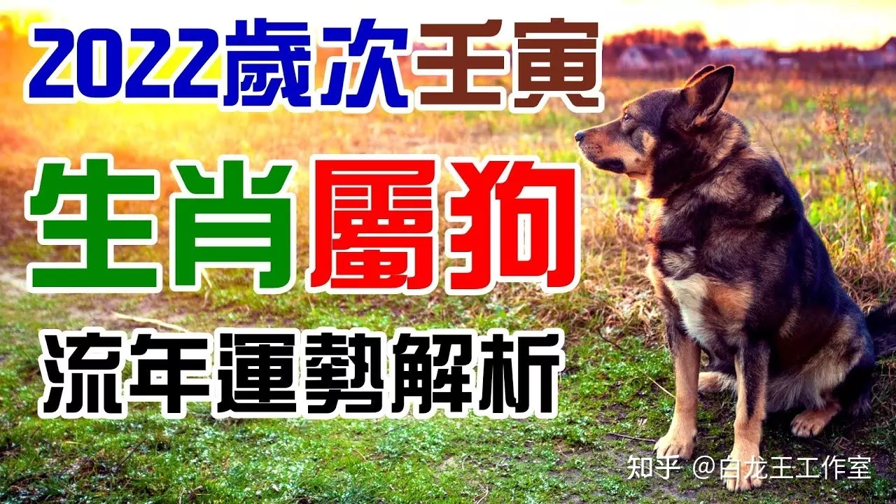 2、年屬狗人的全年運勢:年狗人的全年運勢如何？
