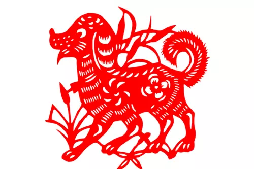 82年屬狗人一生的命運：82年屬狗的命運怎樣？
