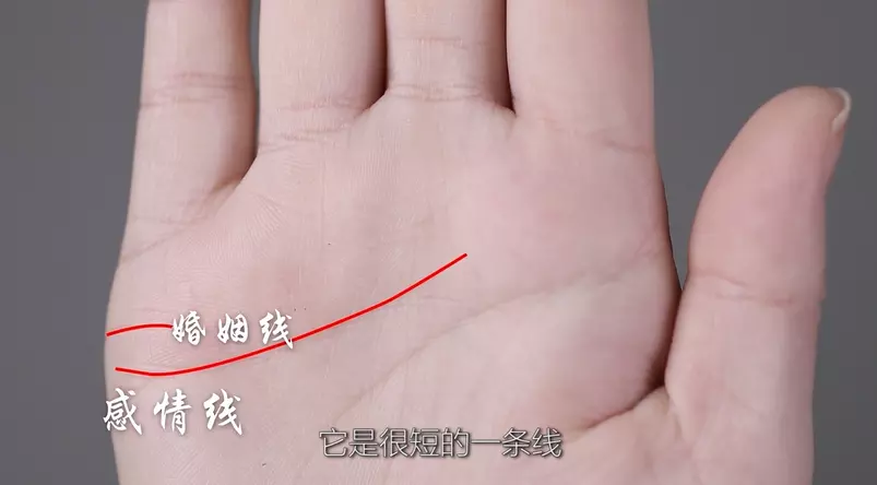 2、手掌哪條是婚姻線:手掌中那一條是感情線。那條是財運線和婚姻線呢