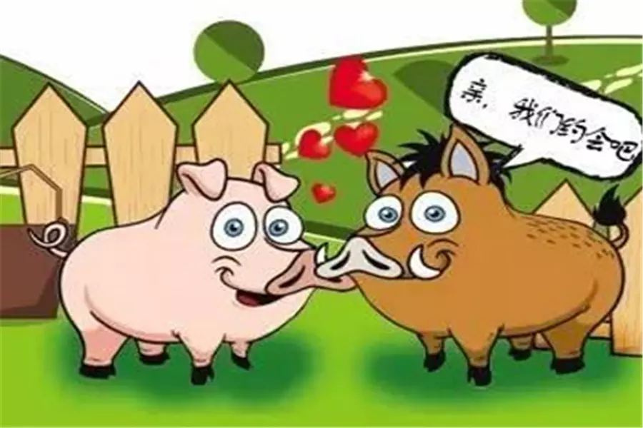 牛年娶親禁忌三個什麼屬相：屬牛的十月娶親隱諱什麼屬相啊
