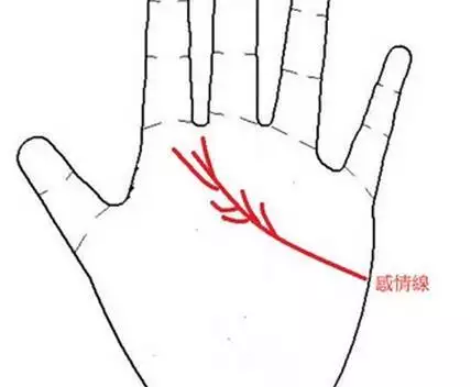 2、偏財運旺的女人要注意什麼:女人什麼聚財？