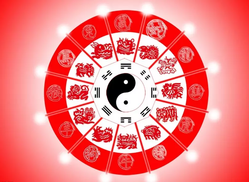 十二屬相最伶俐哪個排第一：十二生肖智商排行