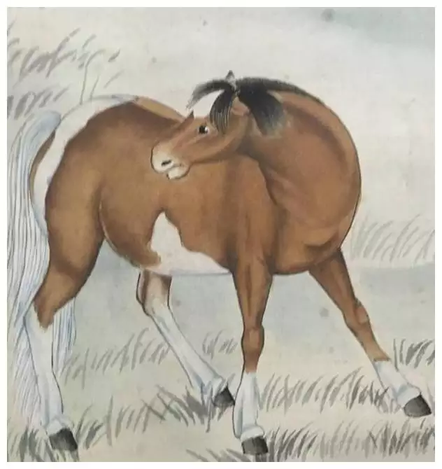 1、二月馬與六月的馬婚配:六月的馬和二月的馬相配嗎