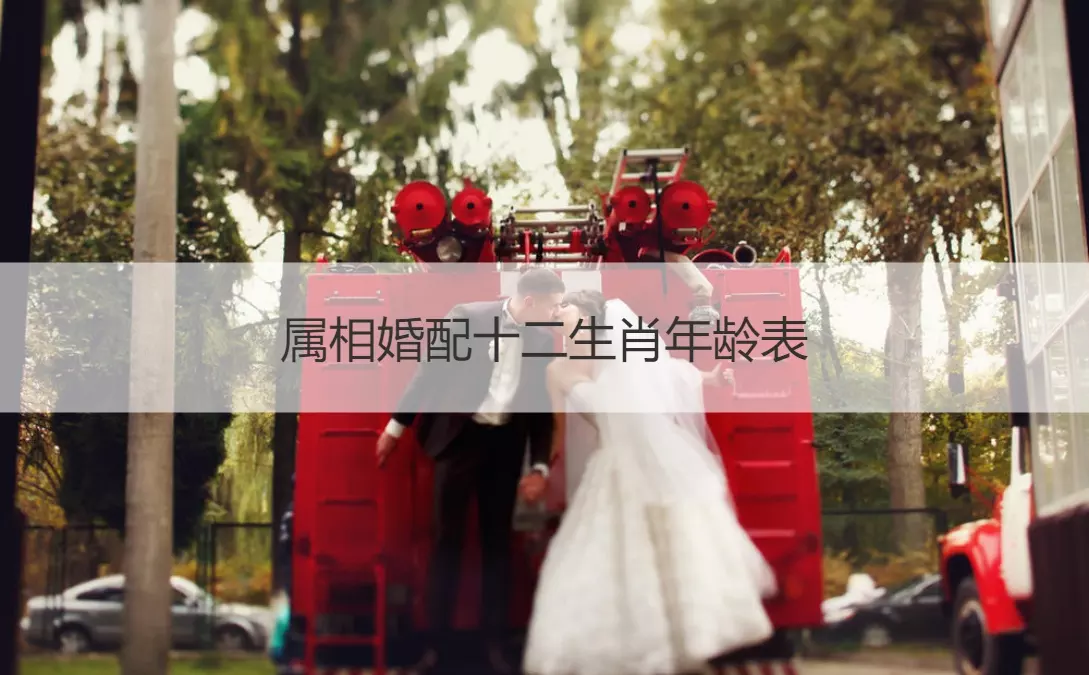 1、94年生屬什麼生肖婚配:年屬羊的婚配屬什麼？