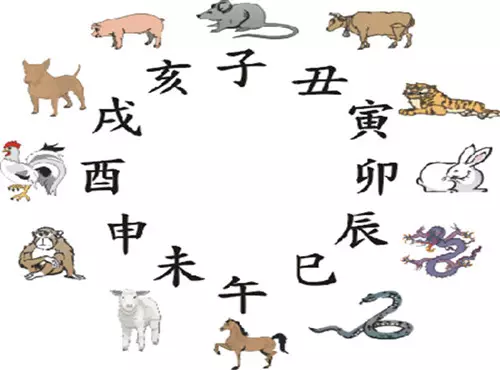 結婚看屬相合科學嗎：聽說鼠年的人和馬年的不能結婚，有科學根據嗎？