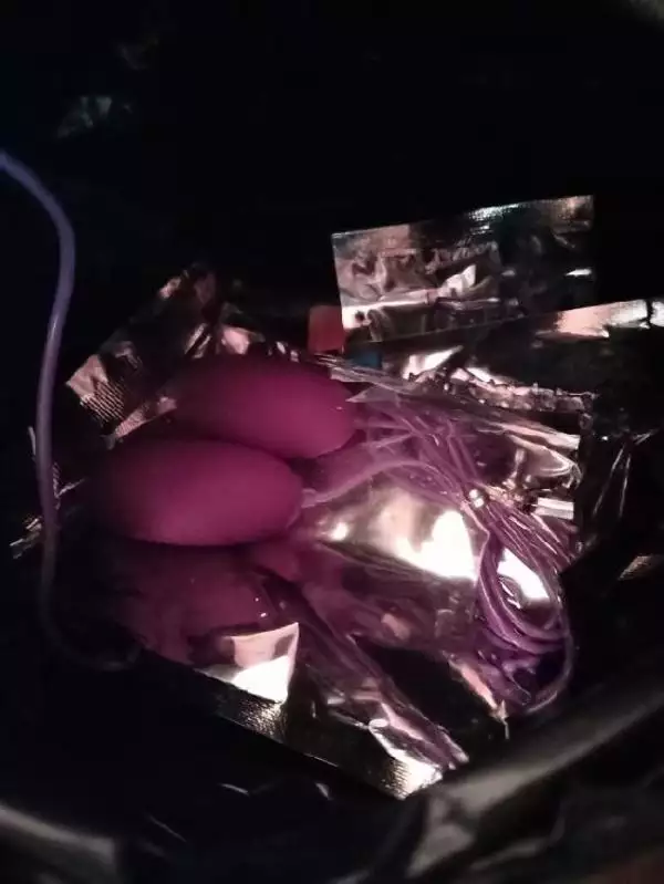 3、女常會影響什麼:女常 好不好 有什麼壞處