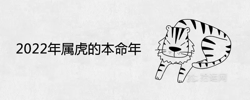 3、虎年是什麼命年:年是什麼年啊