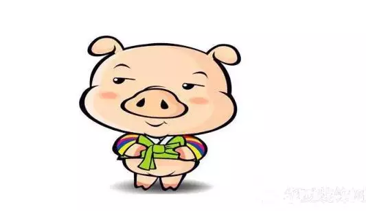 豬屬相2022年運勢：2022年屬豬人的整年運勢