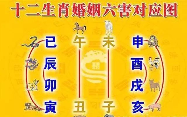 1、十二生肖婚配宜忌表查詢:十二生肖男女婚配表