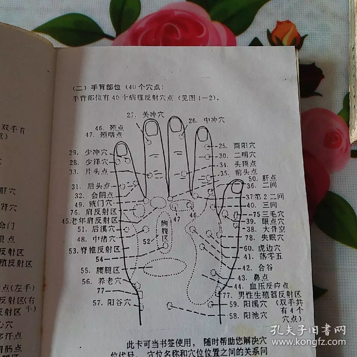 1、93年與82年婚配可以嗎:82年屬狗,和93年屬雞,相配嗎