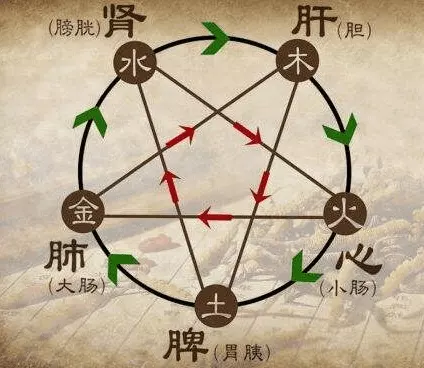 年屬兔是什麼命五行：87年12月屬兔的是什麼命
