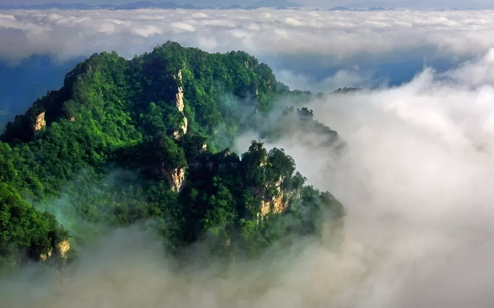 走路比較慵懶的屬相是：12生肖中，跟人走的動物，懶惰的動物，是什麼肖？