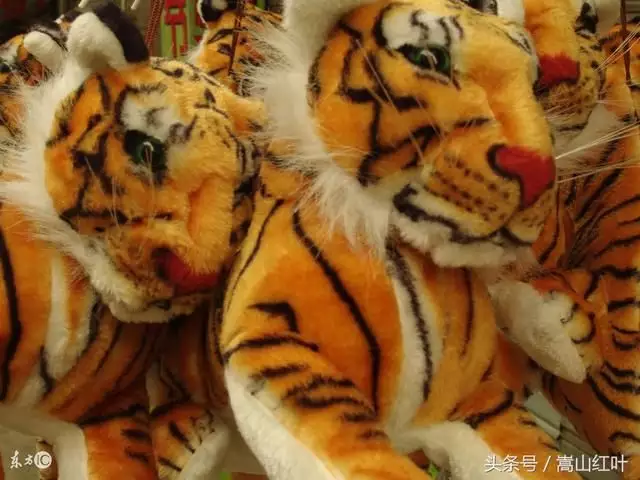 2、屬兔女和老虎的婚配怎麼樣:男的屬虎和女的屬兔的可以相配嗎？