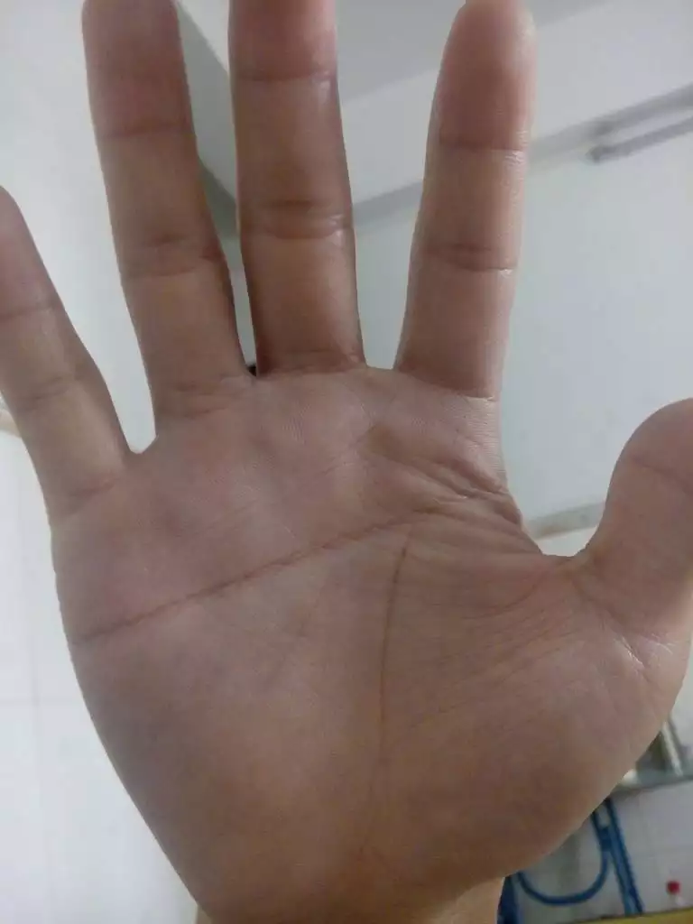 2、掌紋圖解女右手詳解:女人右手掌紋圖解算命